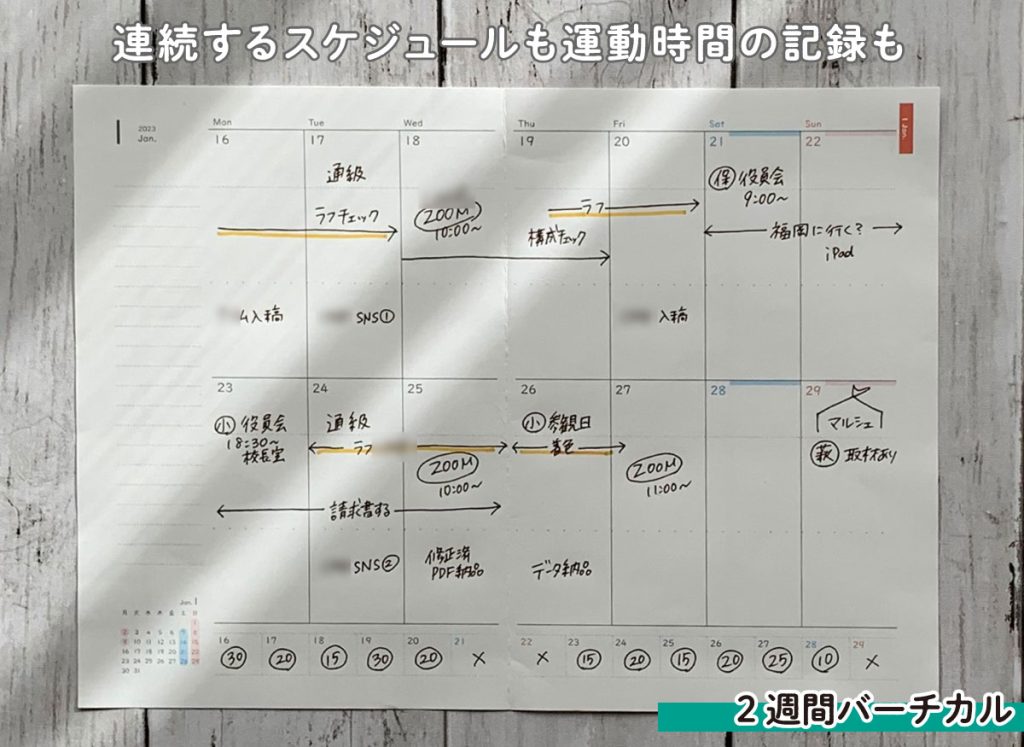 見通しが立てやすい2週間手帳